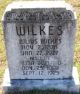Alma Bullard Wilkes gravestone