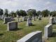 Palm Tree Methodist Church Cemetery photo